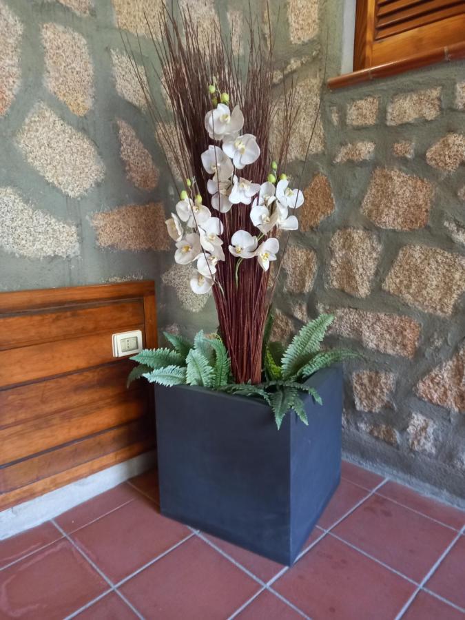 Hotel Olimpia Baja Sardinia Ngoại thất bức ảnh